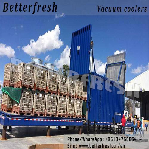 Betterfresh Agricuture Refrigeration Pallets Vegetable Vacuum Cooling Machine 3