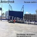 Betterfresh Agricuture Refrigeration Pallets Vegetable Vacuum Cooling Machine 4