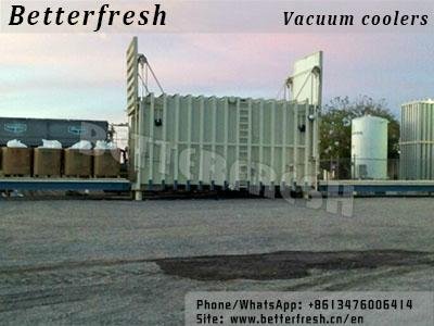 Limabeans Vacuum Cooler Machine with Warrant Service Oveseas