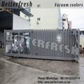 Limabeans Vacuum Cooler Machine with Warrant Service Oveseas 2