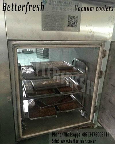 Split Manually operated door Cooked vacuum cooler fast cooling  3