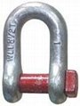 JIS Type Screw Pin Chain Shackle with or Without Collar 2