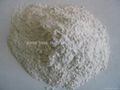 Bentonite