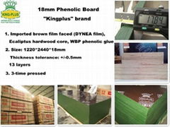 kingplus film faced plywood