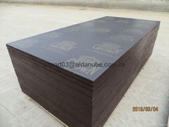 CROWN BRAND FILM FACED PLYWOOD COMBI