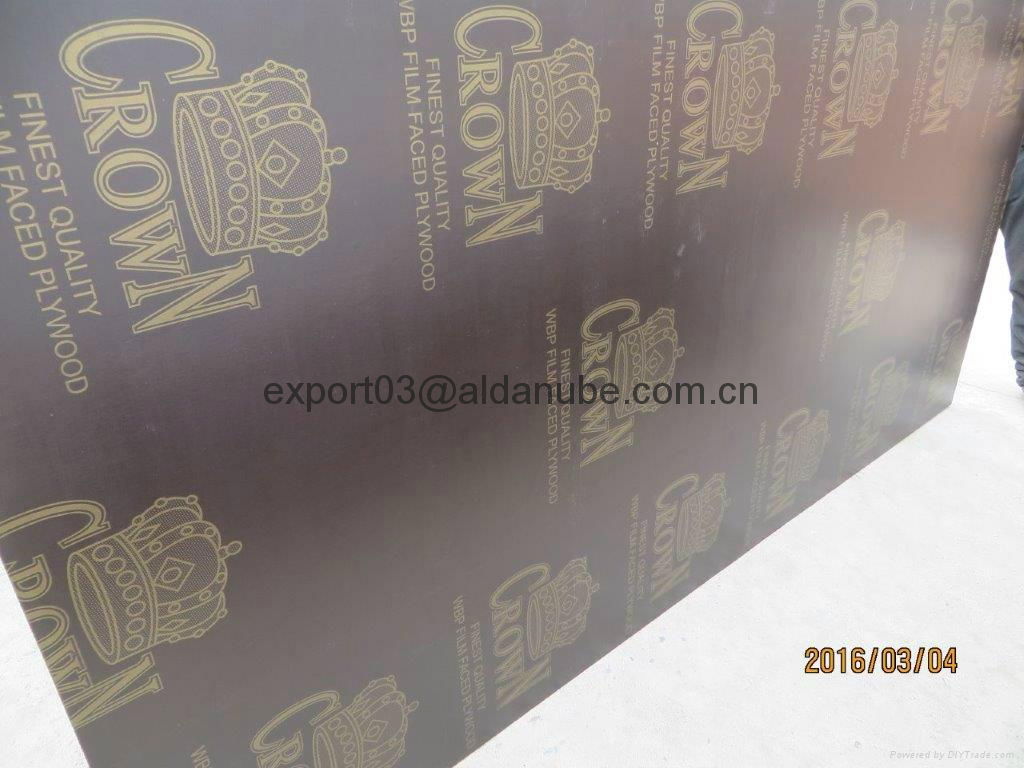 CROWN BRAND FILM FACED PLYWOOD COMBI CORE WBP GLUE 2