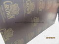 CROWN BRAND FILM FACED PLYWOOD COMBI CORE WBP GLUE