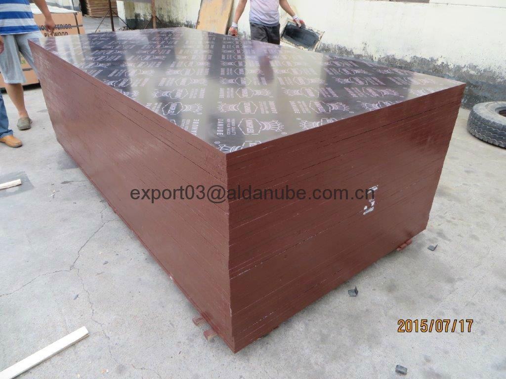 KINGPLEX BRAND FILM FACED PLYWOOD 2