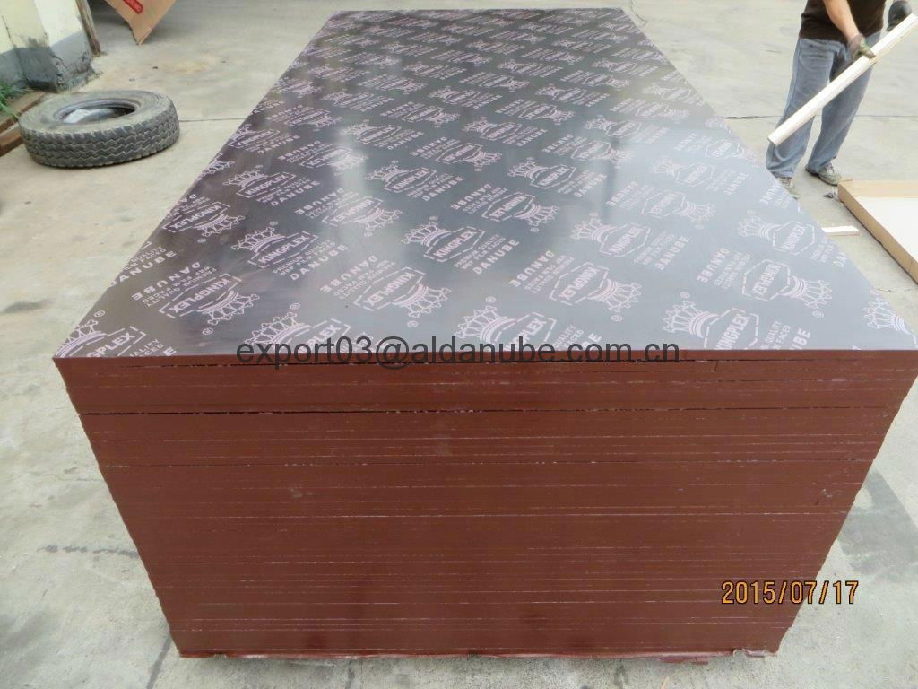 KINGPLEX BRAND FILM FACED PLYWOOD 5