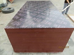 KINGPLEX FILM FACED PLYWOOD