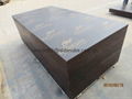 KANGAROO  BRAND FILM FACED PLYWOOD,