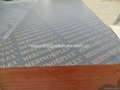 MERINOPLEX FILM FACED PLYWOOD MADE IN CHINA