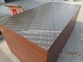 MERINOPLEX FILM FACED PLYWOOD MADE IN CHINA 5