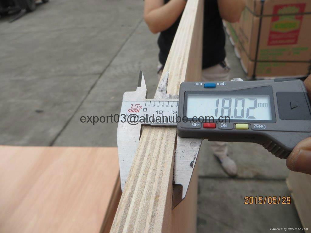 COMMERCIAL PLYWOOD / FURNITURE GRADE PLYWOOD 2