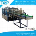 Full Automatic Carton Case Filler Wrapping Packing Machine for  Plastic Bottle