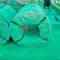 Bottom Price 60g/80g/125g Zn Coating Galvanized Steel Coil 3