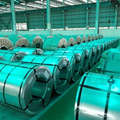 Cfs-B Hot-DIP Galvanized Steel Sheet (Coil)