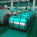 SGCC Galvanized Steel Coil (sheet) 5