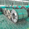 SGCC Galvanized Steel Coil (sheet)