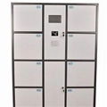 Biometric Fingerprint Locker 1