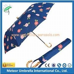 2 Folding Rain Umbrella