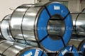 Galvanized Steel Coil