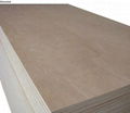 commercial plywood 1