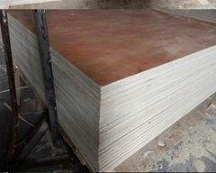 plywood for packing