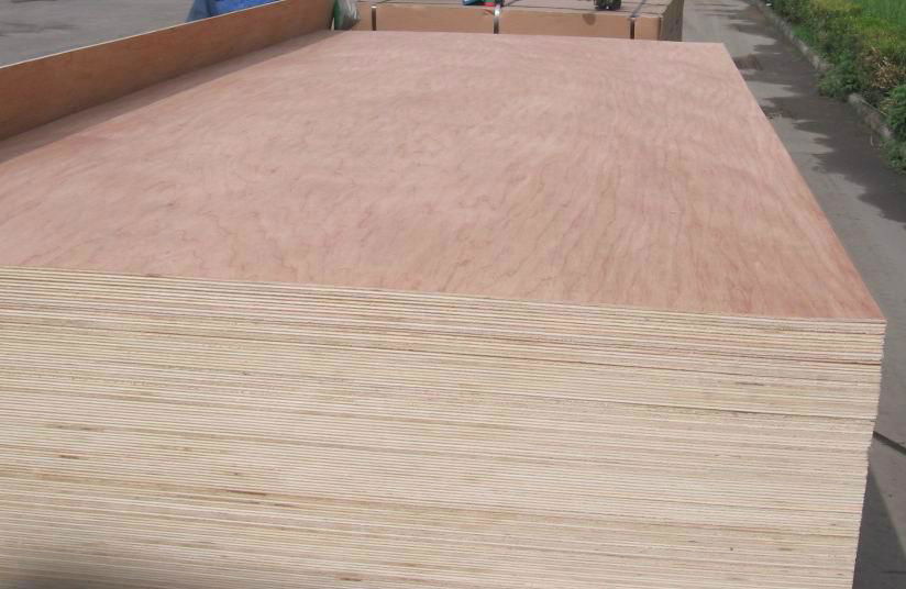 plywood for packing 4