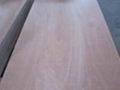 Door Skin Plywood 2.5mm 2.7mm 3mm 5mm