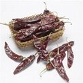 Dried American Red Chili