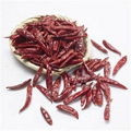 Dried Chaotian Chili