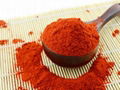 Dried Hot Red Chili Powder 1