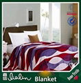 China supplier cheap flannel fabric printing blanket 2