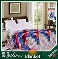 China supplier cheap flannel fabric printing blanket 4