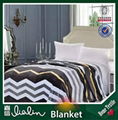 China supplier cheap flannel fabric printing blanket 5