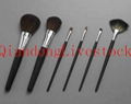 Cosmetic Brush 1