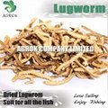 Dry Lugworm Dehydrated Sandworm 3