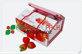  草莓包装箱吸水纸