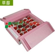  草莓包装箱吸水纸 3