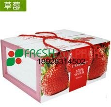 草莓包装箱吸水纸 5