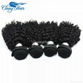 Kinky Curly Virgin Brazilian Peruvian Malaysian Human Hair Weave Bundles