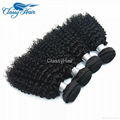 Kinky Curly Virgin Brazilian Peruvian Malaysian Human Hair Weave Bundles 5