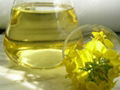 High Quality Pure 100% Refined Canola Oil 1