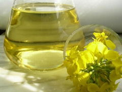 High Quality Pure 100% Refined Canola