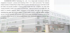 Shanxi Anpu Electric Technology Co.,Ltd.