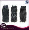 Wholesale Virgin Brazilian Hair Weave 100% Brazilian Deep Kinky Curly Hair 2