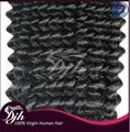 Wholesale Virgin Brazilian Hair Weave 100% Brazilian Deep Kinky Curly Hair 3