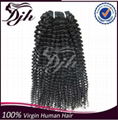 Wholesale Virgin Brazilian Hair Weave 100% Brazilian Deep Kinky Curly Hair 4