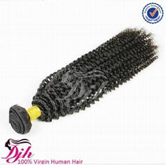 Mongolian Afro Kinky Curly Human Virgin Remy Hair Extension